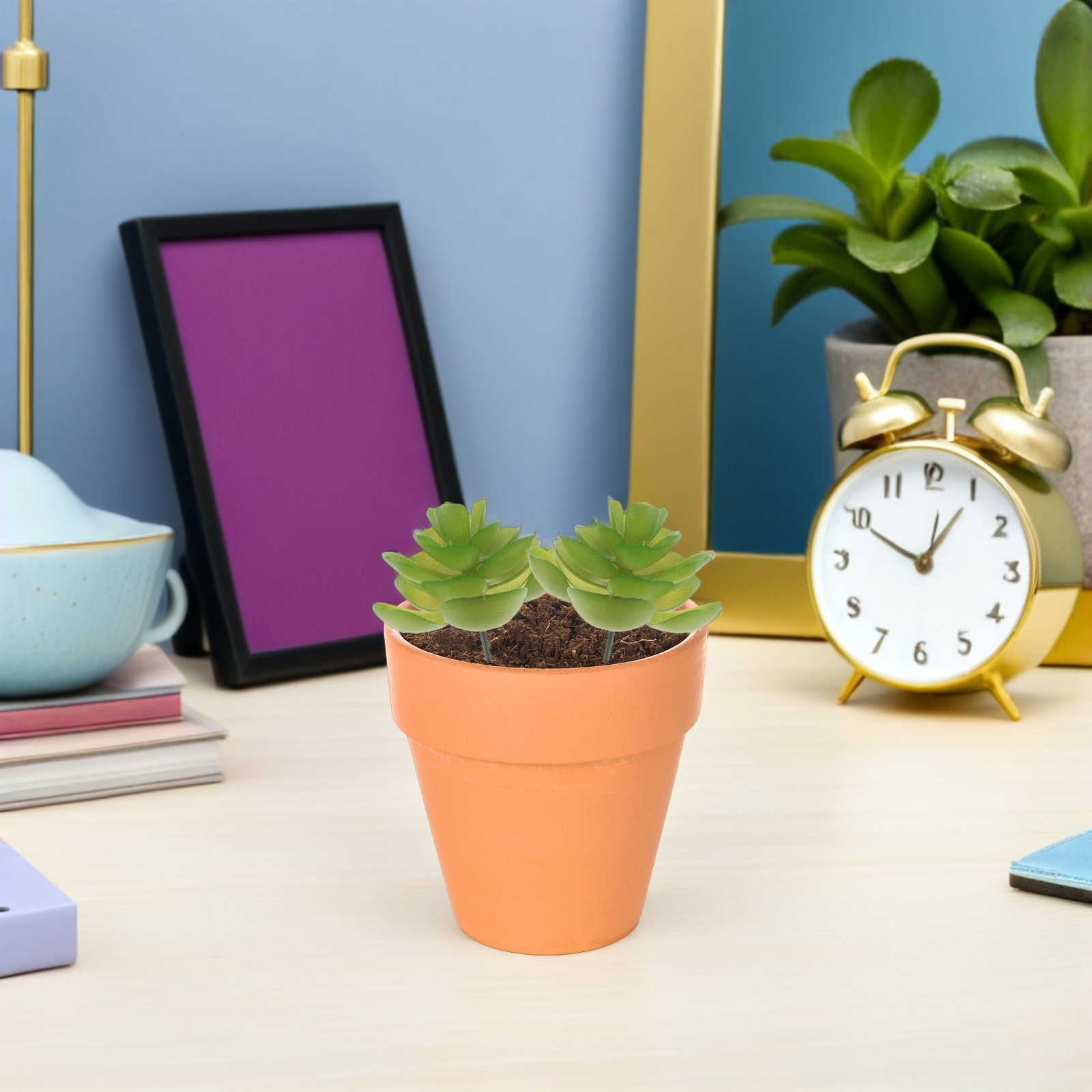 6 個の人工多肉植物ミニプラスチック鉢植え装飾用フェイク小型 - Plant Pot Small Desk のレビューと価格