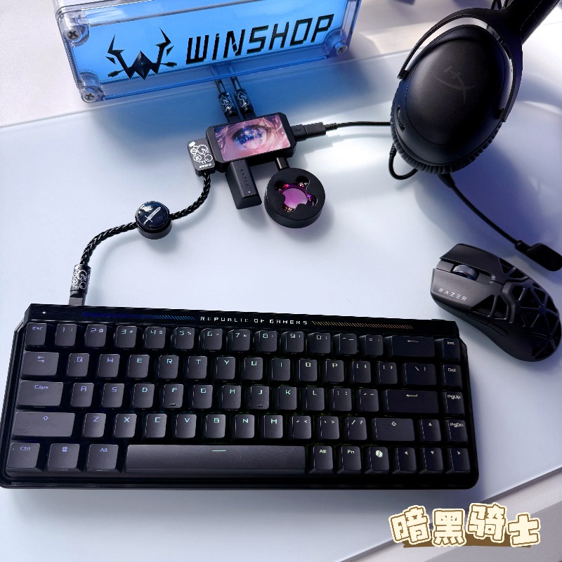 WINSHOP Esports HUB デュアルイン 4 ア - Desk Setup Aesthetic のレビューと価格
