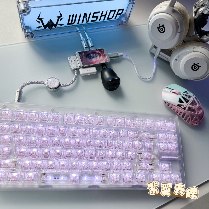 WINSHOP Esports HUB デュアルイン 4 ア - Desk Setup Aesthetic のレビューと価格
